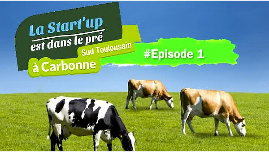 #StartUpDansLePre : Episode1 - des ´Pitchs' à la ´Foire aux Bestiaux'